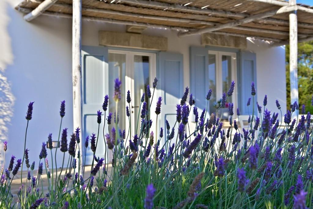 Masseria Montelauro โอตรันโต ภายนอก รูปภาพ