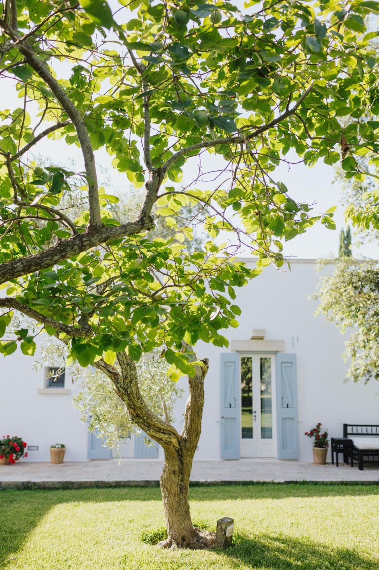 Masseria Montelauro โอตรันโต ภายนอก รูปภาพ